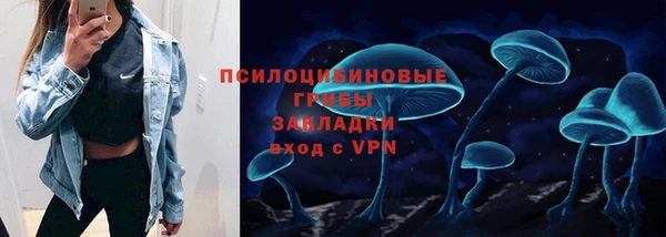 молекула духа Алексеевка