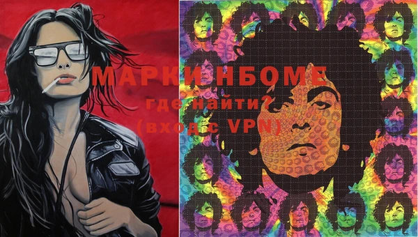 хмурый Алзамай