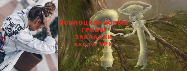 молекула духа Алексеевка