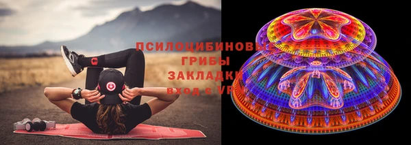 молекула духа Алексеевка