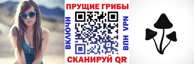 наркошоп  Поронайск  Псилоцибиновые грибы MAGIC MUSHROOMS 